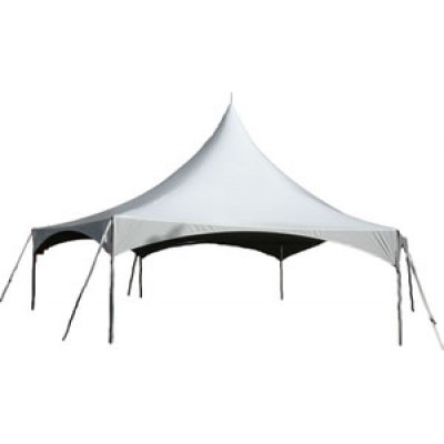 Party Tents Direct 10x10x10 50mm Hexagon Speedy Pop Up Canopy Event Tent   